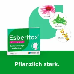 Esberitox® Compact Bei Erkältungskrankheiten, 60 St