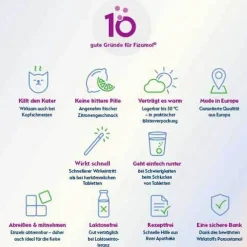 Fizamol 500 mg Brausetabletten, 20 St