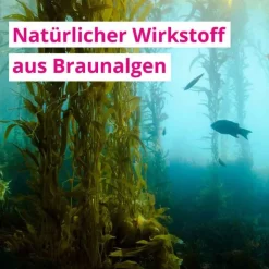 Fluxan Liquid Sachet, 20 St