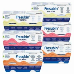 Fresubin Yocreme Mischkarton, 24X125 g