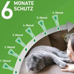 FRONTLINE COMBO® SPOT ON Katze, 6 St