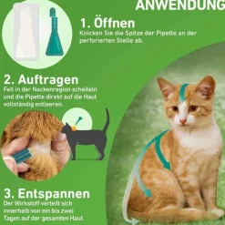 FRONTLINE COMBO® SPOT ON Katze, 3 St