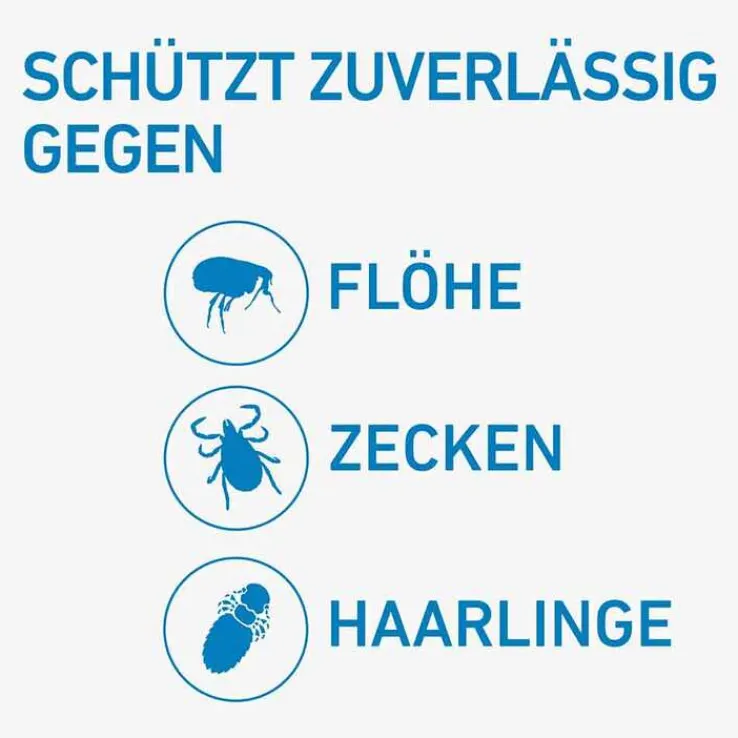 FRONTLINE® SPOT ON Hund S Lösung, 6 St