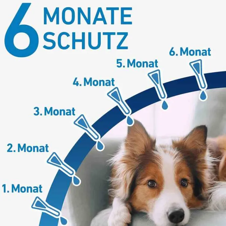 FRONTLINE® SPOT ON Hund S Lösung, 6 St