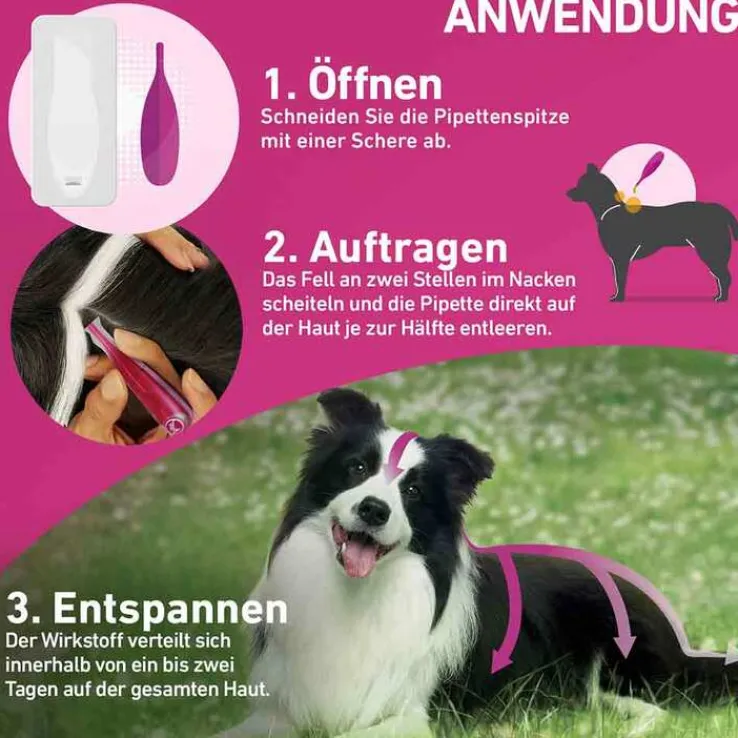 FRONTLINE TRI-ACT® gegen Zecke, Floh und fliegende Insekten bei Hunden (20-40kg), 6 St