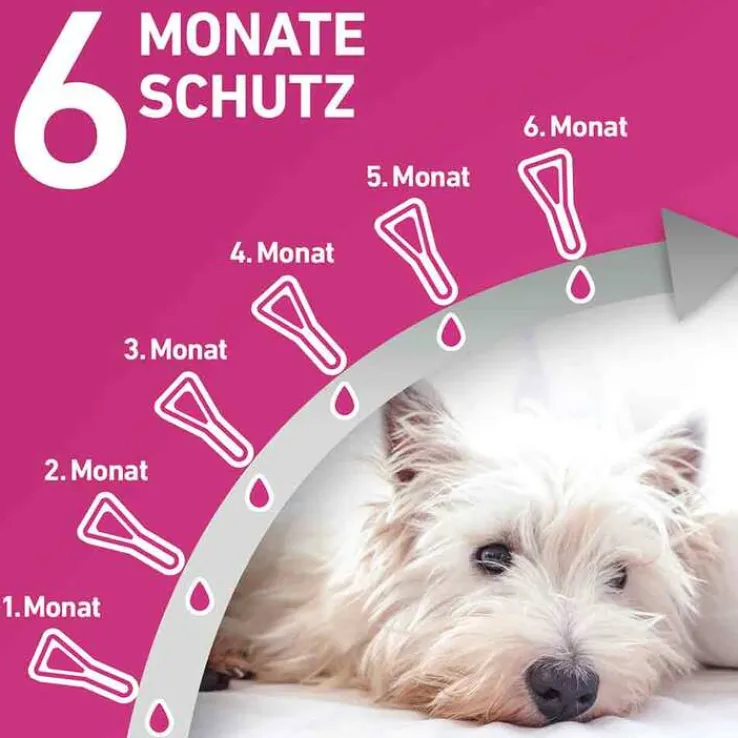 FRONTLINE TRI-ACT® gegen Zecke, Floh und fliegende Insekten bei Hunden (20-40kg), 6 St