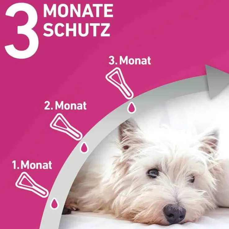 FRONTLINE TRI-ACT® gegen Zecke, Floh und fliegende Insekten bei Hunden (40-60kg), 3 St