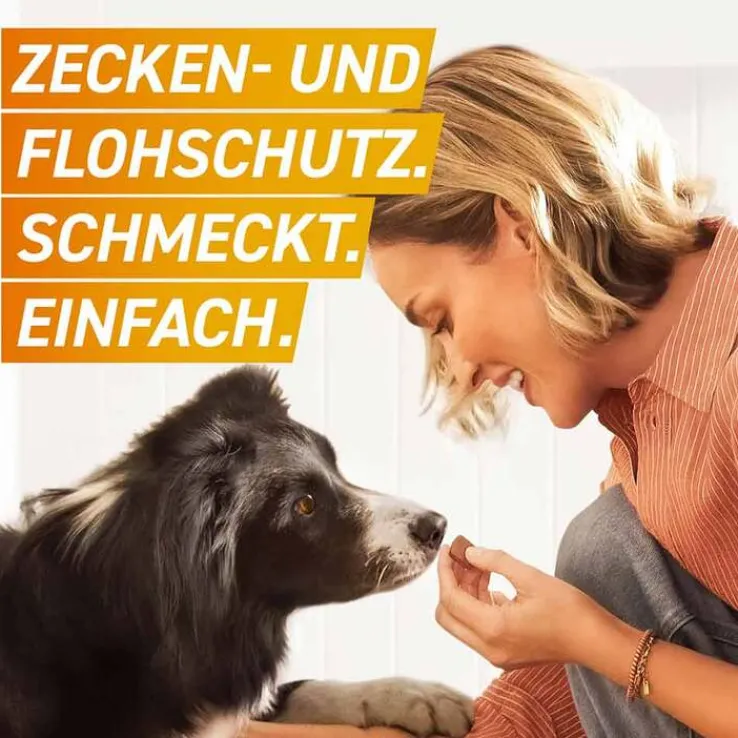 FRONTPRO 68 mg Kautabletten für Hunde 10 - 25 kg, 3 St