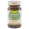 Ganodermin Vital-Pilzextrakt, 60 St