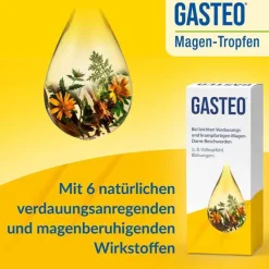 GASTEO Tropfen bei Magen-Darm-Beschwerden, 50 ml