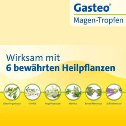 GASTEO Tropfen bei Magen-Darm-Beschwerden, 50 ml