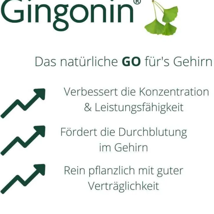 Gingonin® 120 mg Hartkapseln, 60 St