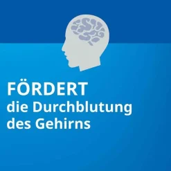 Ginkgo STADA® 120 mg Filmtabletten, 30 St