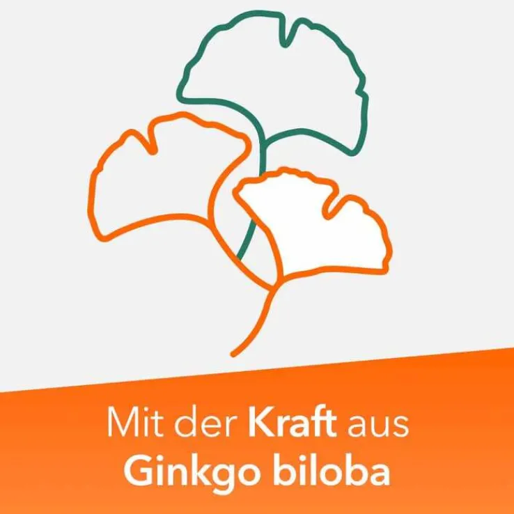 Ginkobil ratiopharm 120mg mit Ginkgo biloba, 60 St