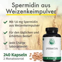 Green Naturals Spermidin 1,6 mg vegan Kapseln, 240 St