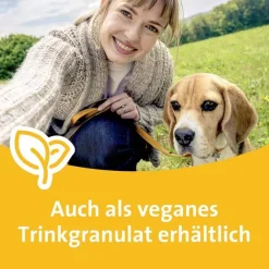 Grippostad C Hartkapseln bei Erkältung, 24 St