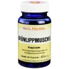 Grünlippmuschel GPH Kapseln, 60 St