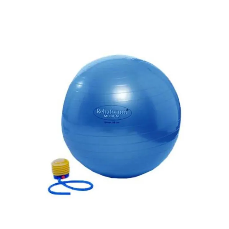Gymnastikball Rehaforum 65 c, 1 St