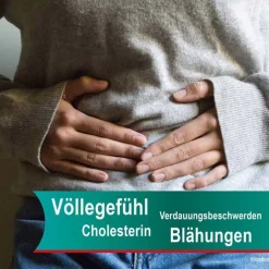 Hepar-SL® 640 mg Filmtabletten, 20 St