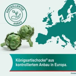 Hepar-SL® 320 mg Hartkapseln, 50 St