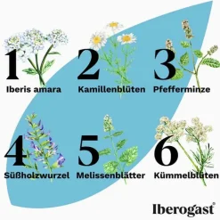 Iberogast ADVANCE, 2x100 ml