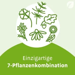 Imupret N Tropfen, 100 ml