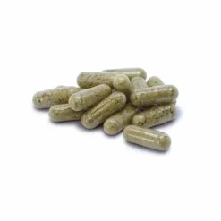 Jod-Probio Dr. Jacob`s Kapseln, 90 St