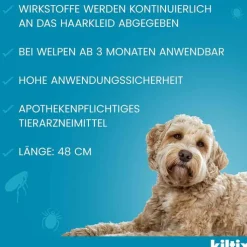Kiltix für mittelgroße Hunde Halsband, 1 St
