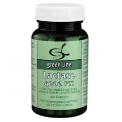 Lactase 4000 FCC Kapseln, 100 St