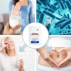 Lactase 7.000 FCC Tabletten im Spender, 80 St