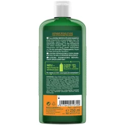 Logona Repair & Pflege Shampoo Bio-Sanddorn, 250 ml