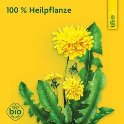 Löwenzahn Saft Schoenenberger HPS, 200 ml