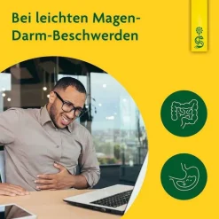 Löwenzahn Saft Schoenenberger HPS, 3X200 ml