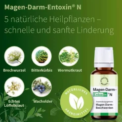 Magen Darm Entoxin N Tropfen, 100 ml