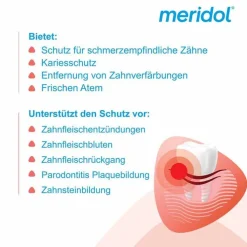 Meridol Rundumpflege Zahnpasta, 75 ml