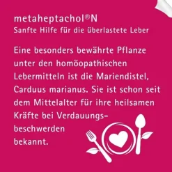 Metaheptachol N Tropfen zum Einnehmen, 100 ml