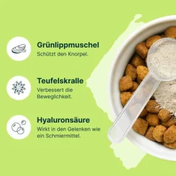 Mobeel Ergänzungsfuttermittel Pulver für Hunde / Katzen, 150 g