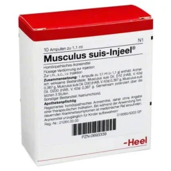 Musculus suis Injeel Ampullen, 10 St