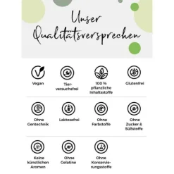 N1 Zink Tabletten, 365 St