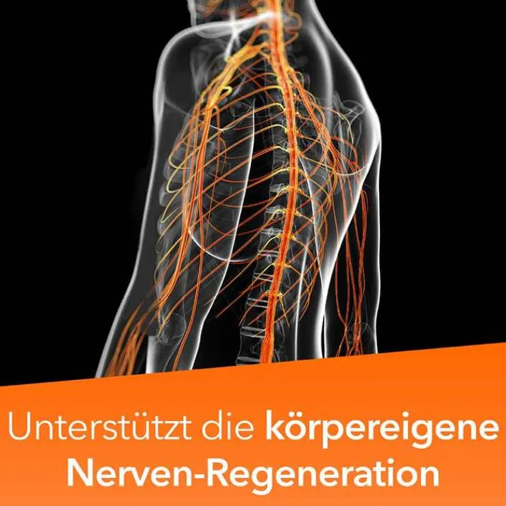 Neuropax-ratiopharm forte Kapseln, 40 St