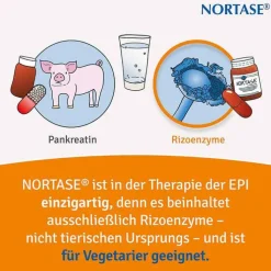 NORTASE Kapseln vegetarische Verdauungsenzyme, 100 St