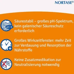 NORTASE Kapseln vegetarische Verdauungsenzyme, 100 St