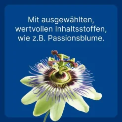 Nurexan ad us. vet. Tabletten , 100 St