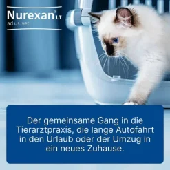 Nurexan LT ad us. vet. Tabletten, 100 St