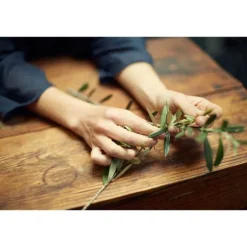 Oliveda Augencreme Hydroxytyrosol Corrective, 30 ml