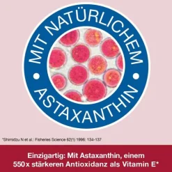 Omega 3-Loges plus Kapseln, 120 St