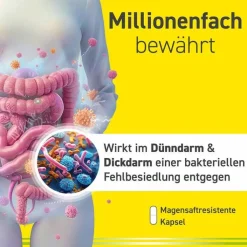 OMNIFLORA N Probiotika Kapseln für die Darmflora, 50 St