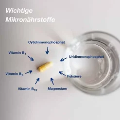Orthomol neuro Kapseln, 90 St