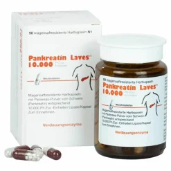 Pankreatin Laves 10.000 Ph.Eur.-Einh.magensaftresistent Hartkapseln , 50 St