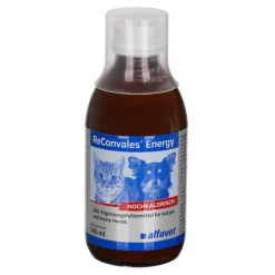 Reconvales Energy Diät-Erg.Futterm.für kl.Hund / Katze, 180 ml